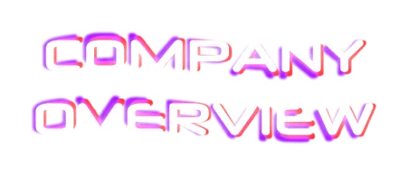 COMPANY OVERVIEW